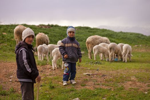 ANATOLIA, TURKEY APRIL 18: Unidentified young shepherds tend to their herds on April 18, 2012 in rural Anatolia, Turkey prior to Anzac Day.