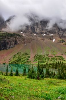 Scenic view of alpine meadow and mountain lake in Glacier NP, Montana, USA