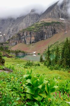 Landscape view of alpine meadow and mountain lake in Glacier NP, Montana, USA
