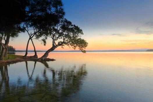 A peaceful sunset the bonsai shaped tree bends towards the sea and as the sun sets, we sit and  dream of our destiny, it lies beyond the sunset and over the horizon... and one day you will find me there