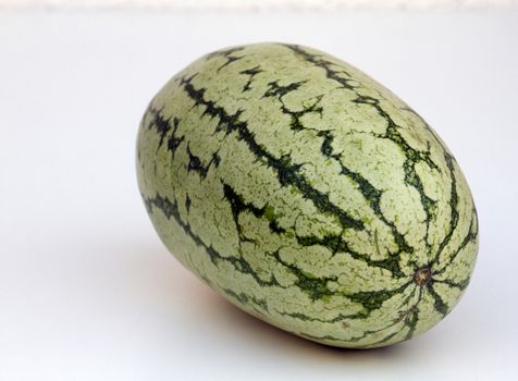 Large ripe water-melon  India Goa.