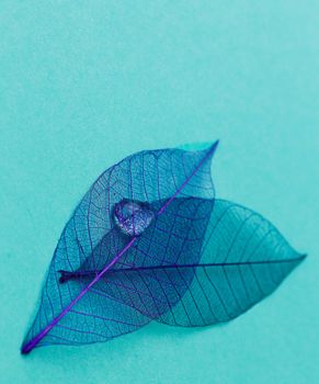 Texture, details. Leaf on the table