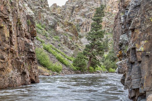 Cache la Poudre River at Little Narrows, springtime scenery with snow melt run off