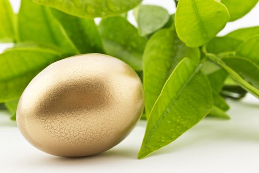 Focus on gold nest eggs placed in front of fresh, spring green leaves