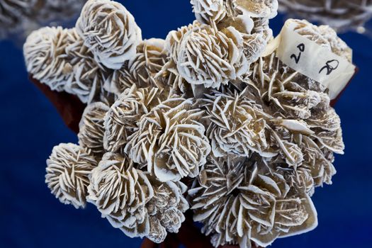 Rose selenite on sale at Tucson Gem, Mineral, and Fossil Show, a popular, annual, global event and attraction in Arizona. 