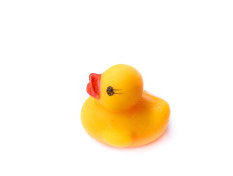 Yellow rubber duck on White Background