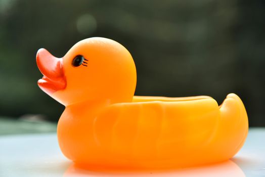 Yellow rubber duck