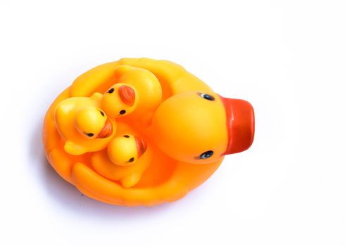 Yellow rubber duck on White Background