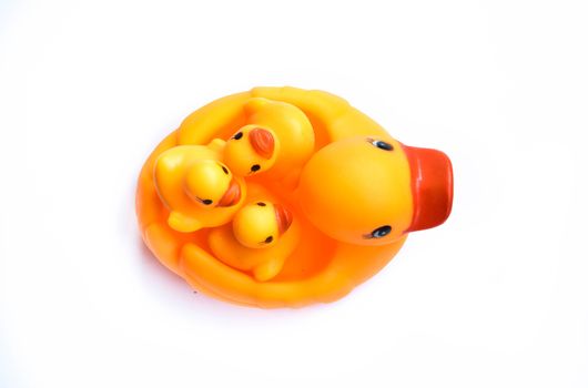 Yellow rubber duck on White Background