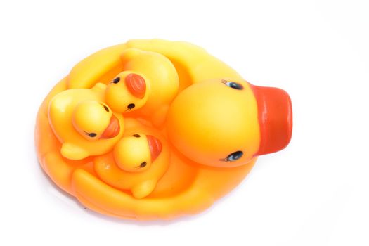 Yellow rubber duck on White Background