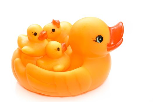 Yellow rubber duck on White Background