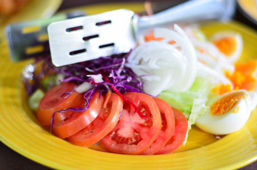 Fresh tomatoes with vegetable and egg salad