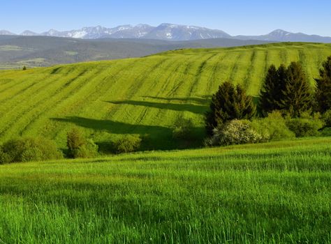 background green meadows early evening submontane scenery