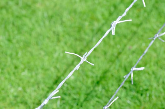 Army barbed wire