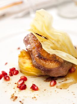 tasty dish of duck breast and potato