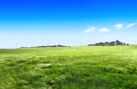 Meadow landscape.Green grass and mountains