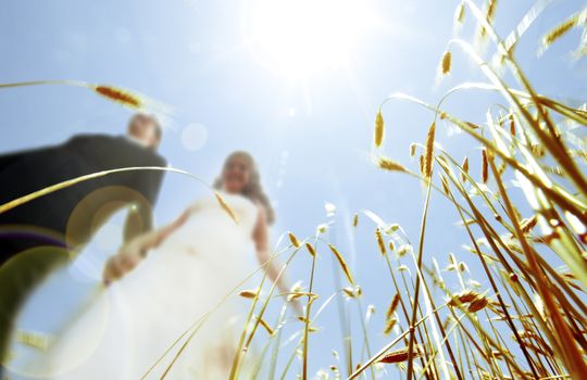 wedding photography. Couple and landscape