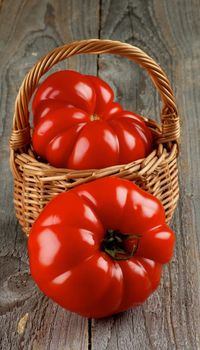 Two Giant Ripe Heirloom Tomatoes in Wicker Basket closeup on Rustic Wooden background