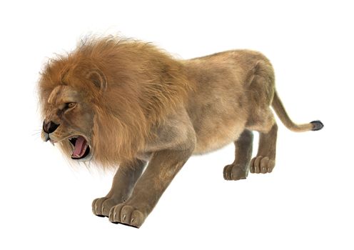 3D digital render of a male lion isolated on white background