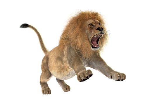 3D digital render of a male lion isolated on white background