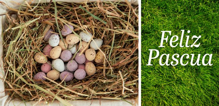 Feliz pascua against grass background