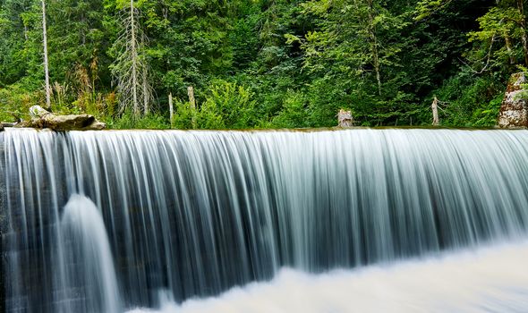 Forest waterfall with water curtain.