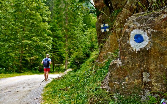 Hiking on the right mountain track.