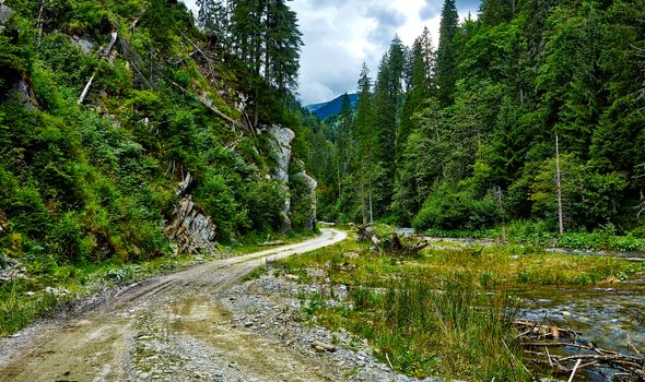 Mountain landscape with green forest, winding road.