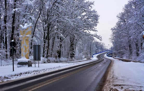 Winter road with trees full of snow.