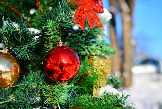 Christmas decoration globe in fir tree.