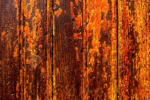 Yellow orange shrivelled wood  texture.