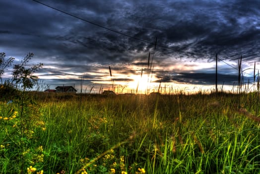 Sunset with dark clouds, orange sky and green grass.