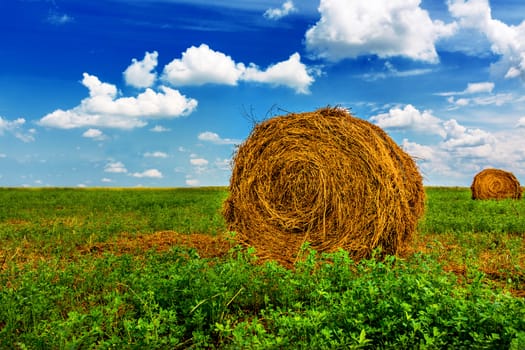 Bale of straw, green field, blue sky.