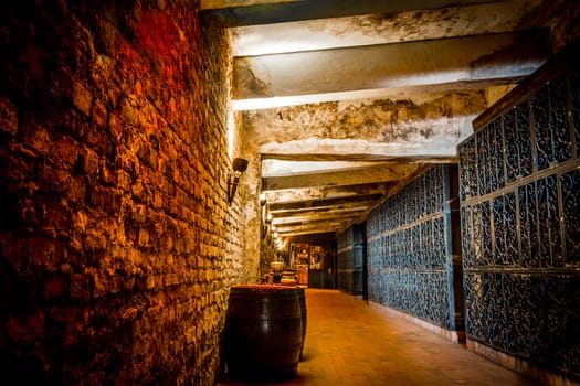 Wine cellar entrance, Recas Romania.