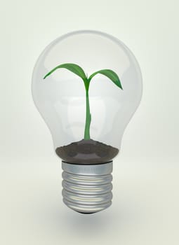 Plantl inside light bulb, eco light bulb