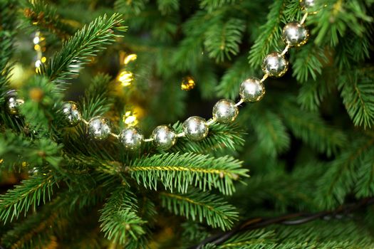 Christmas silver beads hanging in a tree 