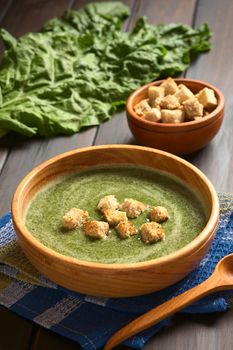 Cream of chard soup with croutons in wooden bowl, fresh raw chard leaves and a small bowl of croutons in the back, photographed on dark wood with natural light (Selective Focus, Focus on the first croutons)