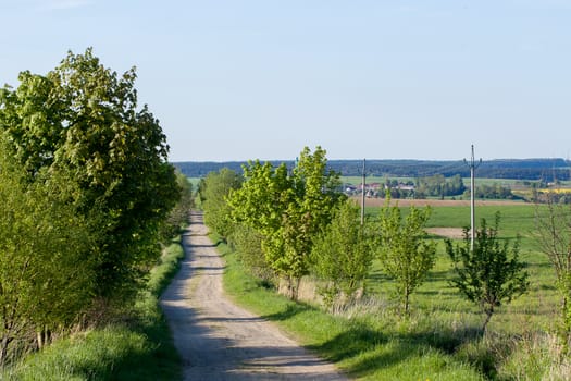 rural road on Beautiful spring rural landscape with rape field and blue sky
