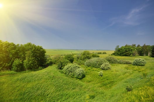 Green Grass Field Landscape under blue sky and sun