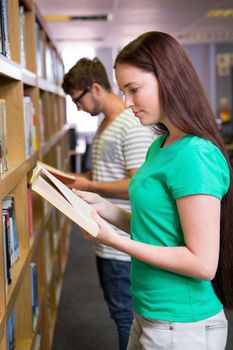 Students reading in the library at the university 