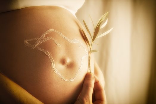 Pregnant woman is holding an olive branch on the creme pigeon of her baby bump
