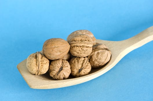 healthy fruit food walnuts in wooden spoon