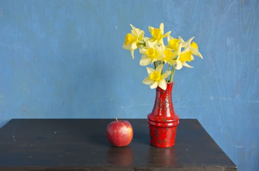 yellow fresh spring narcissus in red vase and apple on black table. Beautiful still life