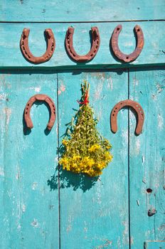 five old rusty luck symbol horseshoe on wall and medical healthy  st Johns wort flowers