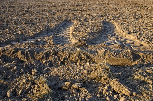 agriculture tractor traces on cultivated farm field earth  soil