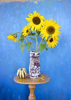 beautiful summer sunflowers in old ceramic vase on blue background