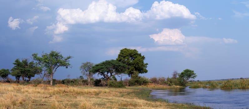 wide panorama of african landscape in national park nambwa on Caprivi Strip Namibia
