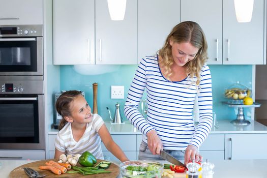 Happy family preparing lunch together at home in the kitchen