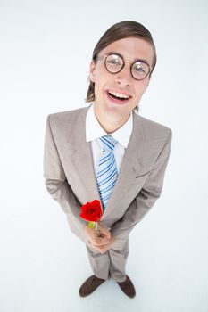 Geeky lovesick hipster holding rose on white background 