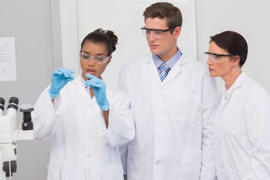 Scientists looking at experimentation in the laboratory 